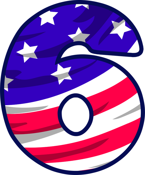 usa flag number 6